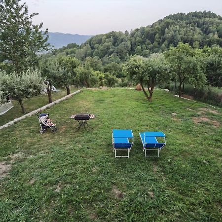 Villa Vila Ella à Căpăţîneni-Ungureni Extérieur photo