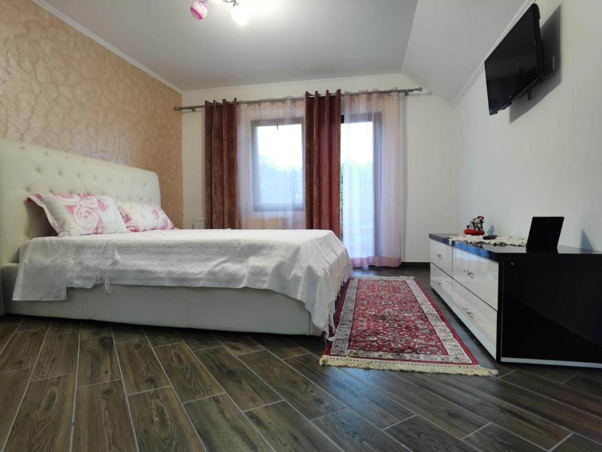 Villa Vila Ella à Căpăţîneni-Ungureni Extérieur photo
