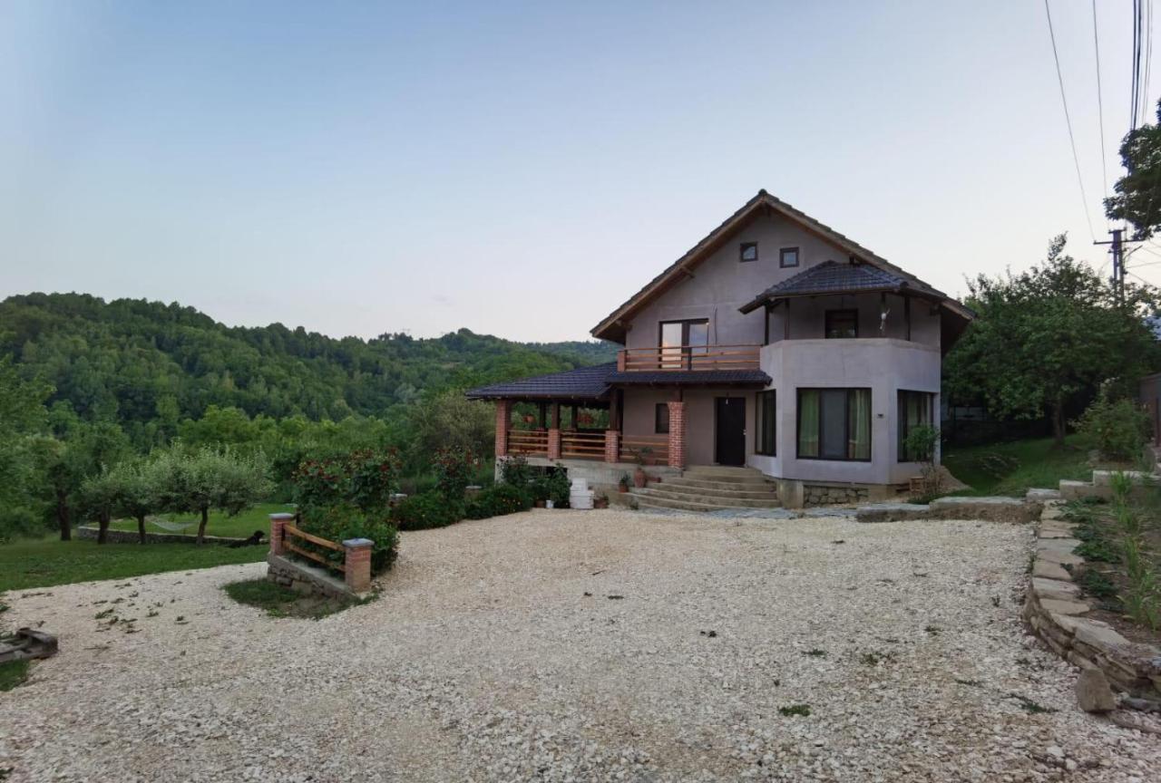 Villa Vila Ella à Căpăţîneni-Ungureni Extérieur photo