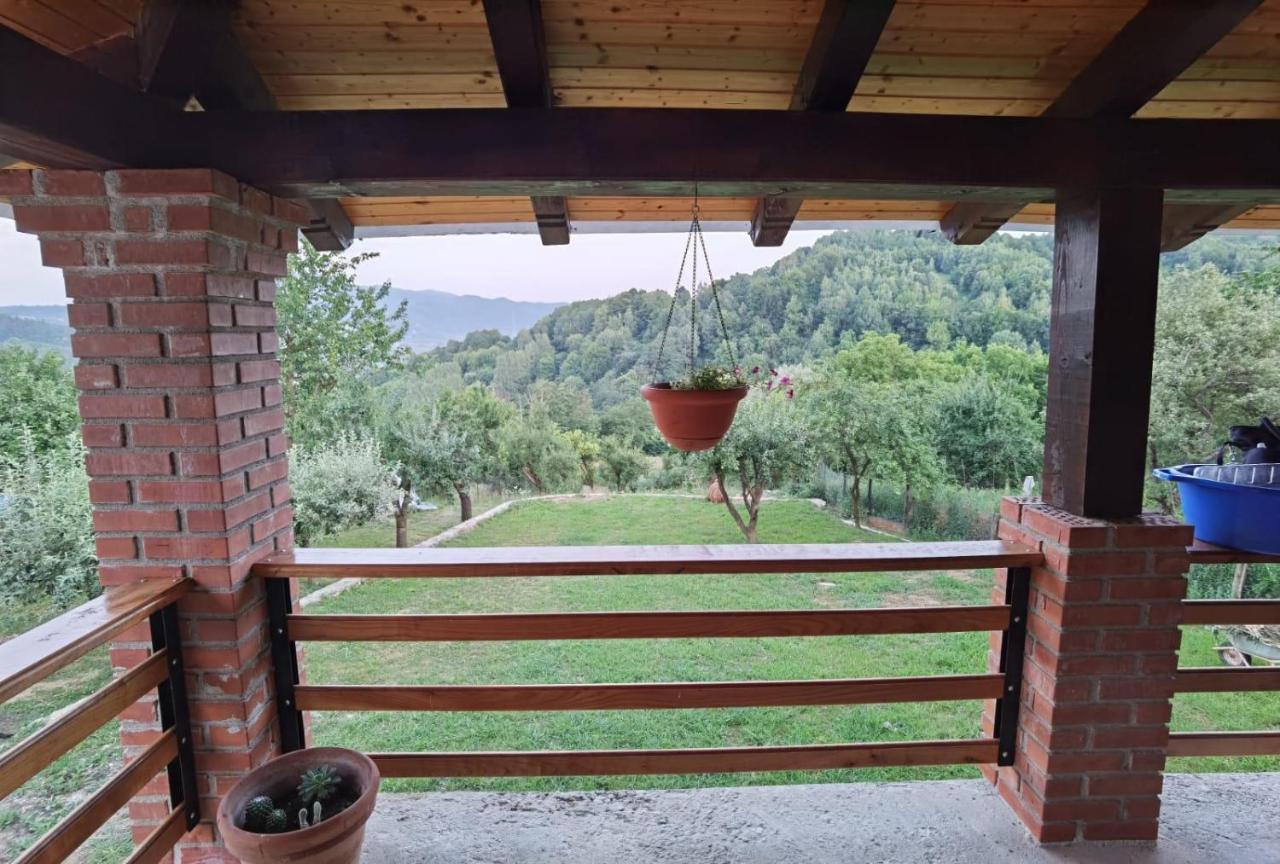Villa Vila Ella à Căpăţîneni-Ungureni Extérieur photo