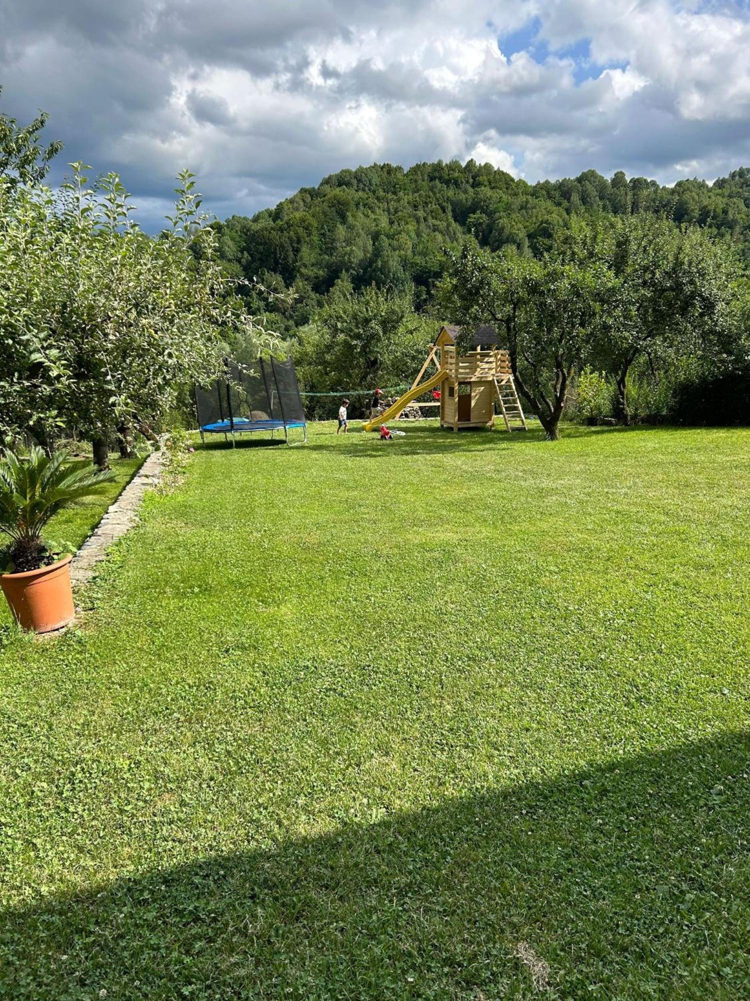 Villa Vila Ella à Căpăţîneni-Ungureni Extérieur photo